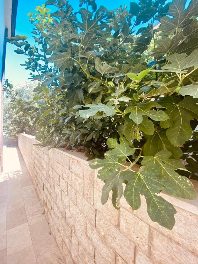 Hotel Buenavista Beach House Trogir Mastrinka Ngoại thất bức ảnh